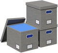 File Organizer Box - File Boxes for Hanging Files with Lid Set of 3 Decorative Hanging Folders Organizer with One-Piece Plastic Frame Slides (Grey, 13.2 * 10.1 * 10.1in(3Pack)) by FileOrganizerBoxeswithLid