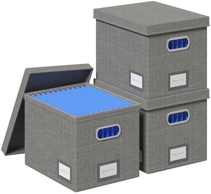 File Organizer Box - File Boxes for Hanging Files with Lid Set of 3 Decorative Hanging Folders Organizer with One-Piece Plastic Frame Slides (Grey, 13.2 * 10.1 * 10.1in(3Pack)) by FileOrganizerBoxeswithLid