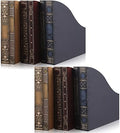 Geetery 6 Pcs File Magazine Organizer 3 x 11 x 12'' Vintage Decorative Classic Books Themed Magazine Holder Easy to Assemble Classic Books Rack File for Shelves Desk Home(Chic) by Geetery