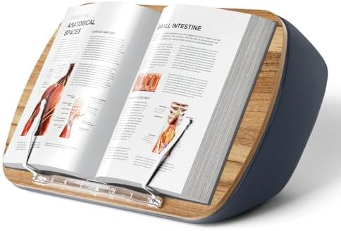 ERGONOV Lap Beanbag Book Stand for Hands Free Reading Comfortable Reading Pillow Stand Minimize Neck Strain Perfect Idea for Book Lovers in Dorm Room or Anywhere Else with Bookseat(Gray) by ERGONOV