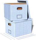 Oterri 2 Pack File Storage Organizer, Filing Box, Portable File Box with Lid, Fit for Letter/Legal File Folder Storage, Document Organizer, Sky-blue by Oterri