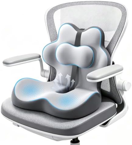 2-in-1 Memory Foam Seat Cushion with Lumbar Support, Office Chair, Gray by Unknown