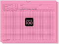 Accounts Payable Voucher Envelopes General Accounting Style, Pink 100 Pack by Unknown