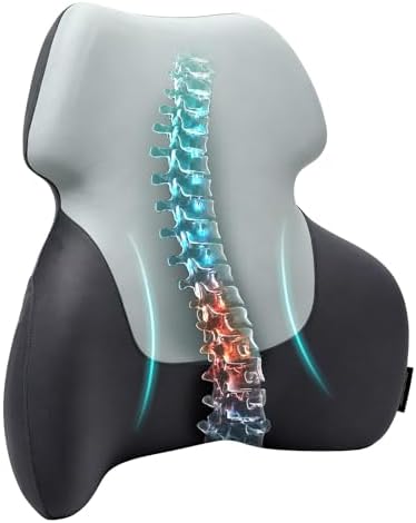 Season Guard Back Support Pillow, Lumbar Pain Relief Cushion for Office/Car by SeasonGuard