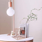 EASEPRES 9 Slot Magazine Rack Book Record Holder, Desktop Iron Storage Rack Bookshelf Multifunction Triangle File Organizer Sorter for Decor Home Office, Rose Gold Pack of 2 - Image 6