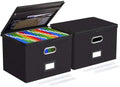Oterri File Box Large 2-Pack Hanging Organizer for Letter/Legal-Size Folder by Oterri