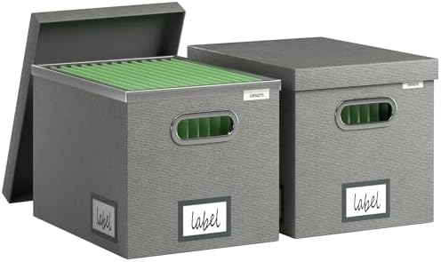 File Organizer Box - File Boxes for Hanging Files with Lid Set of 2 Decorative Hanging Folders Letter Size Organizer with One-Piece Plastic Frame Slides (Grey, 13.2 * 10.1 * 10.1in(2Pack)) by FileOrganizerBoxeswithLid
