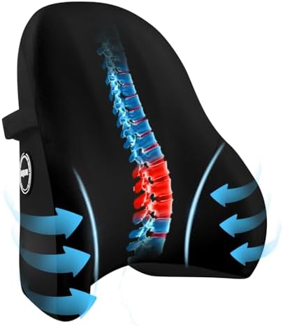 LIQUN Memory Foam Seat Waist Pillow, for Office Chair, Car, Game Chair Lower Back Pain Relief and Improve Posture Lumbar Support Pillow, (Black) by LIQUN