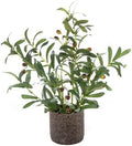 AlphaAcc Fake Faux Small Olive Potted Plant 18" Rustic Cement Planter by AlphaAcc