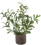 AlphaAcc Fake Faux Small Olive Potted Plant 18" Rustic Cement Planter by AlphaAcc