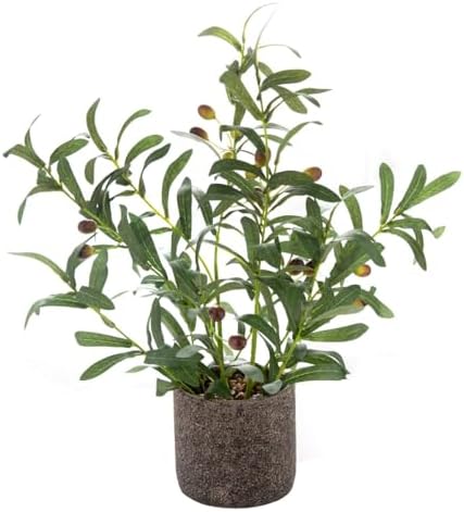 AlphaAcc Fake Faux Small Olive Potted Plant 18" Rustic Cement Planter by AlphaAcc