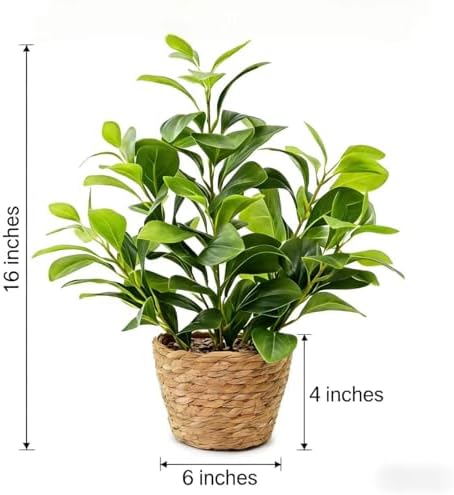 16 inch Boho Artificial Peperomia Potted Plant in Woven Basket Planter Lifelike Two Tone Green Leaves Faux Indoor Branches for Home Office Desk Shelf Bathroom Table Decor - Image 2