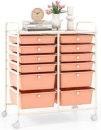 LDAILY 12 Drawer Rolling Storage Cart, Craft Cart Organizer on Wheels w/Metal Frame, Large Capacity & Smooth Drawer, Rolling Cart w/Drawers for Classroom, Office by LDAILY