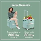 Inspired Living Collapsible Folding Utility Cart, Heavy-Duty Rolling Crate with 360° Wheels, Telescoping Handle, Hidden Lid, Holds 200 Lbs, Pale Mint - Image 4