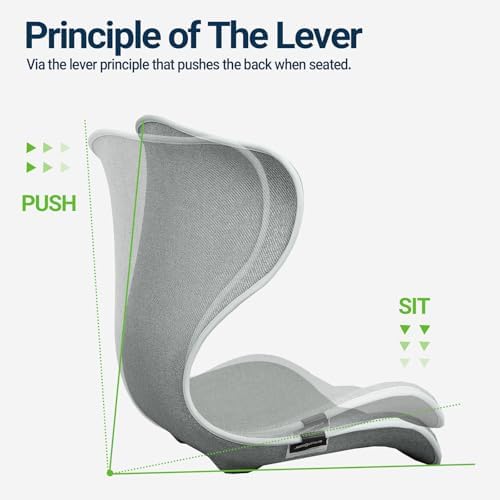 Season Guard Ergonomic Lumbar Support Pillow, Back Pain Posture Corrector - Image 5
