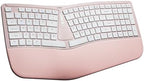 Nulea RT07B Wireless Ergonomic Keyboard - Split Keyboard, Wrist Rest, Natural Typing, Bluetooth and USB Connectivity, USB-C Rechargeable,Compatible with Windows Mac (Silver White) by Nulea