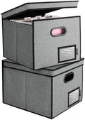 BALEINE File Organizer Box with Lid, Collapsible Hanging File Storage Box by BALEINE