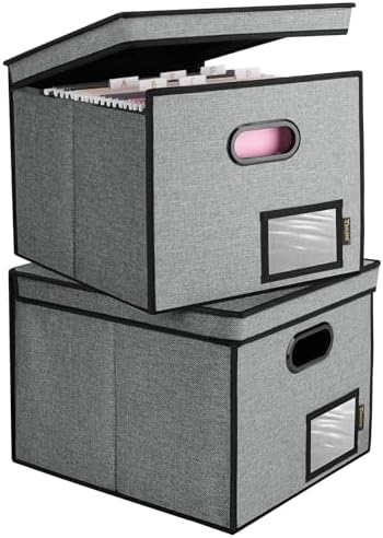 BALEINE File Organizer Box with Lid, Collapsible Hanging File Storage Box by BALEINE