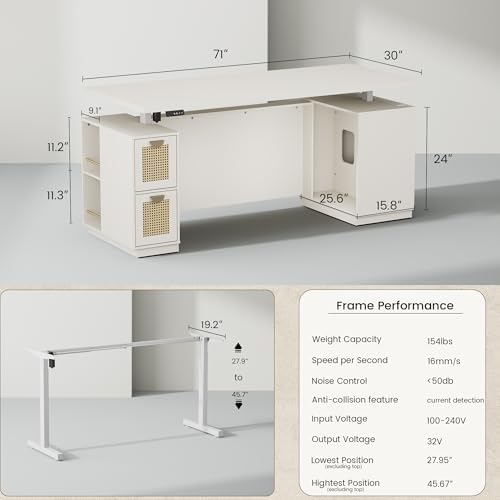 ModernMate 71" Executive Standing Desk with Privacy Panel, White Rattan - Image 2