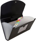 JAM PAPER Accordion Folders - 13 Pocket Plastic Expanding File - Check Size - 5 x 10 1/2 - Black - Sold Individually (Pack of 12) by JAMPaper