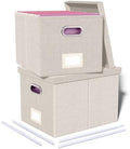 Oterri 2 Pack File Storage Organizer, Document Organizer, Portable File Box with Lid, Fit for Letter/Legal File Folder Storage,Beige-Box only by Oterri