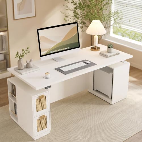 ModernMate 71" Executive Standing Desk with Privacy Panel, White Rattan by ModernMate