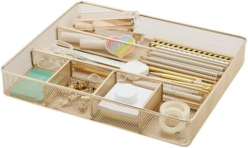 Annova Desk Top Organizer Tray for Office Organization - Metal Mesh - Storage Tray with Dividers for Pens, Desktop Accessories, Bathroom, Kitchen, Makeup and Office Supplies (Large, Gold) by LivingNecessities