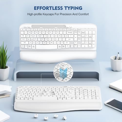 EAYBLLY 2.4G Wireless Ergonomic Keyboard, Full Size Wave Keys with Memory Foam Wrist Rest & 7.28in Phone Holder, USB-C Adapter Included for Windows Mac Chrome OS, Office or Home (White) - Image 5