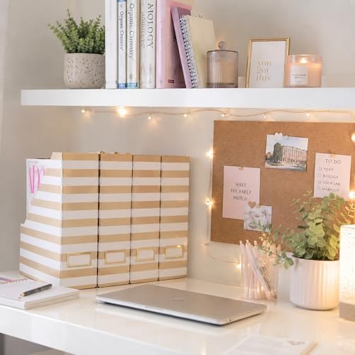 BLU MONACO | Cardboard Magazine File Holder Set of 4 Gold White Stripes | Vertical Magazine File Holder with Label Slots | Standing File Holder and Cardboard Bins for Shelves Desk Classroom - Image 5