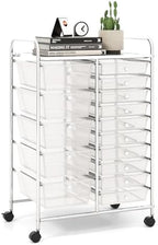 LDAILY 15 Drawer Rolling Storage Cart, Rolling Cart with Drawers for Classroom, Art Supply Craft Organizer on Wheel with Metal Frame & Handles for Home Office School by LDAILY
