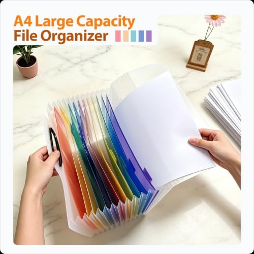 4 Pack File Folder Set - Image 3