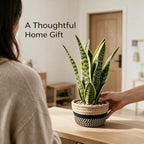 15" Artificial Snake Plant in Black Woven Planter Realistic Faux Sansevieria with Lush Green Leaves Modern Fake Potted Decor for Home Office Living Room and Bedroom - Image 5