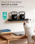 WALI Floating Shelves for Wall, 2 Tier Bathroom Storage Shelf Over Toilet, for Bedroom Bookshelf, Living Room Decor, Kitchen, Nursery, Laundry, Soundbar Floating Shelf Mount Under TV (CS102L), Black - Image 5