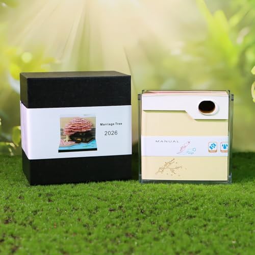 3D Memo Pad, 3D Calendar 2027, Time Piece Calendar, Tear-Off Calendars 2027, 3D Paper Carving Art Memo Pad, Art Carving Sticky Notes for Office Home Gifts Ornaments (Four Seasons Tree) - Image 7