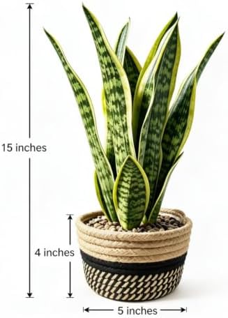 15" Artificial Snake Plant in Black Woven Planter Realistic Faux Sansevieria with Lush Green Leaves Modern Fake Potted Decor for Home Office Living Room and Bedroom - Image 3