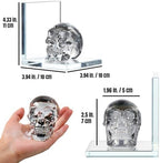 Glass Skull Book Ends for Shelves with Black Crystal Skulls - Image 3
