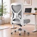 Ergonomic Home Office Chair, 4-Way Lumbar, Thick Cushion, 330LBS (Gray/Finish Silver) by casasio