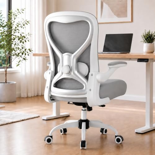 Ergonomic Home Office Chair, 4-Way Lumbar, Thick Cushion, 330LBS (Gray/Finish Silver) by casasio