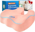BlissTrends Thick Seat Cushion for Office Chair & Car Seat, XL, Pink by BlissTrends