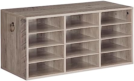 HOOBRO Countertop Mail Sorter Organizer, Wooden Literature Organizer, Student Mailbox for Classroom, Desktop Bill Organizer for Office Home School, 12 Compartments, Greige BG43WF01 by HOOBRO