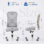 Ergonomic Home Office Chair, 4-Way Lumbar, Thick Cushion, 330LBS (Gray/Champagne) - Image 2