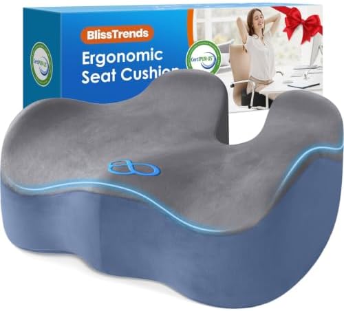 BlissTrends Extra Thick Seat Cushion for Office Chair & Car Seat, Grey&Blue by BlissTrends