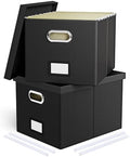 2 Pack File Storage Organizer Box, Portable Filing With Lid, Fit for Letter/Legal Folder Storage, Black (Leather) by Oterri