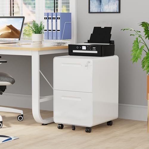 2 Drawer Mobile File Cabinet with Lock, 4 Keys and 25 Letter File Folders - Image 2