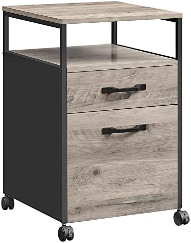 VASAGLE File Cabinet with Wheels, 2 Drawers, Open Shelf by VASAGLEbySONGMICSHOME