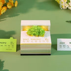 3D Calendar 2027,Creative 3D Memo Pad Time Piece Calendar 2027 Tear Away Paper Sculpture Flower Sea Tree Island Multi-Color DIY Art Note - Image 4