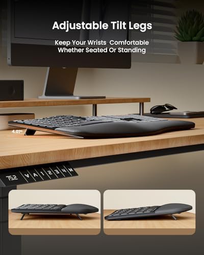 ProtoArc EKM01 Plus Wireless Ergonomic Keyboard Mouse Combo - Black - Image 4