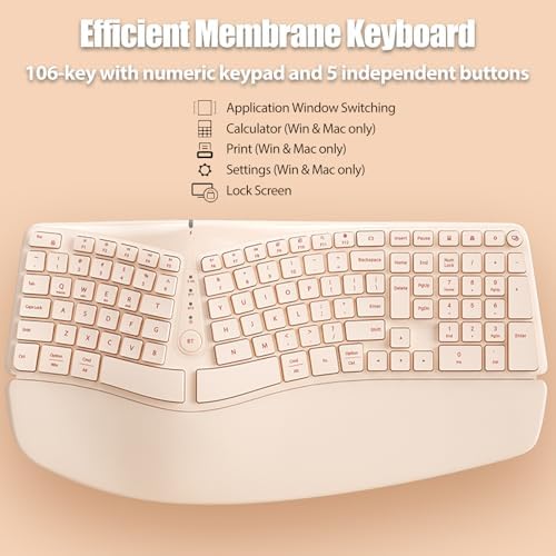Split Ergonomic Keyboard Wireless with Cushioned Wrist & Palm Rest - Image 5