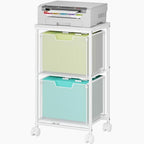 Rolling File Cart with 2 Storage Drawers,Under Desk Storage Cart by shengbaomaoyi