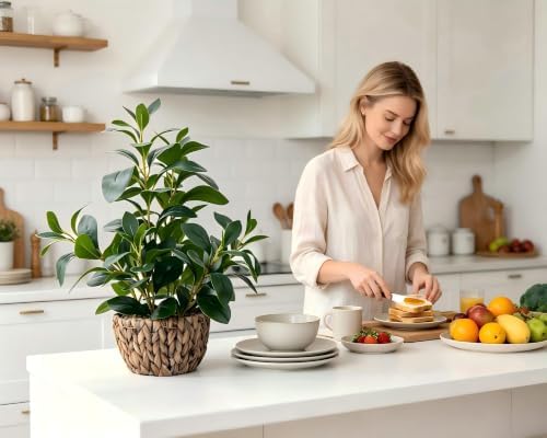 AlphaAcc Fake Indoor Ficus Plant in Rattan Basket Planter Home Office Decor - Image 5
